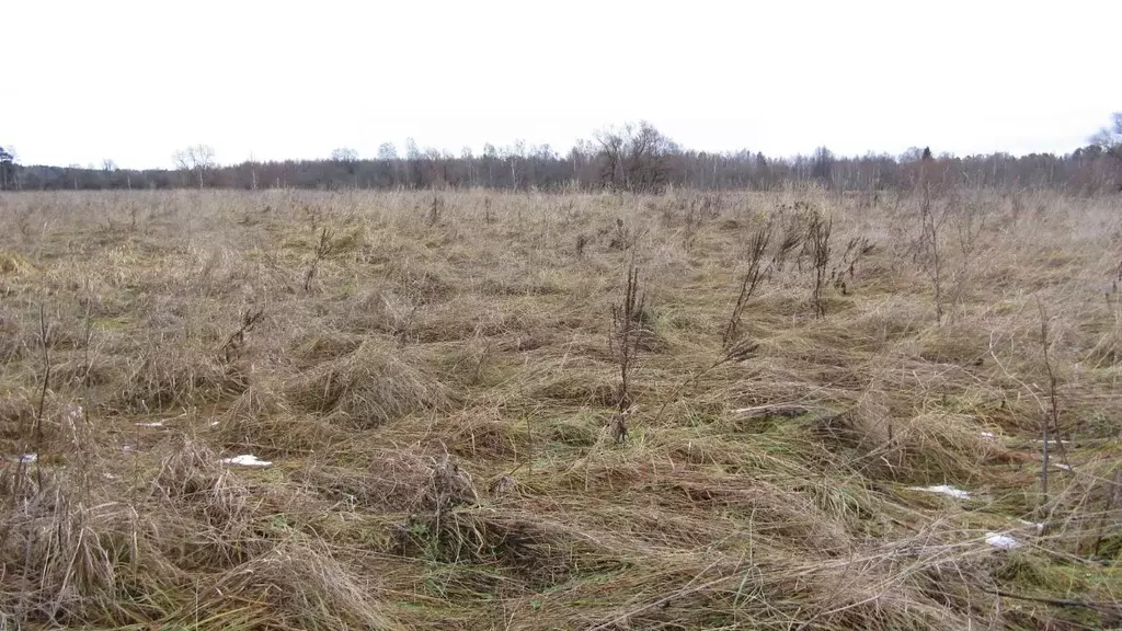 Участок в Московская область, Рузский муниципальный округ, д. ... - Фото 2