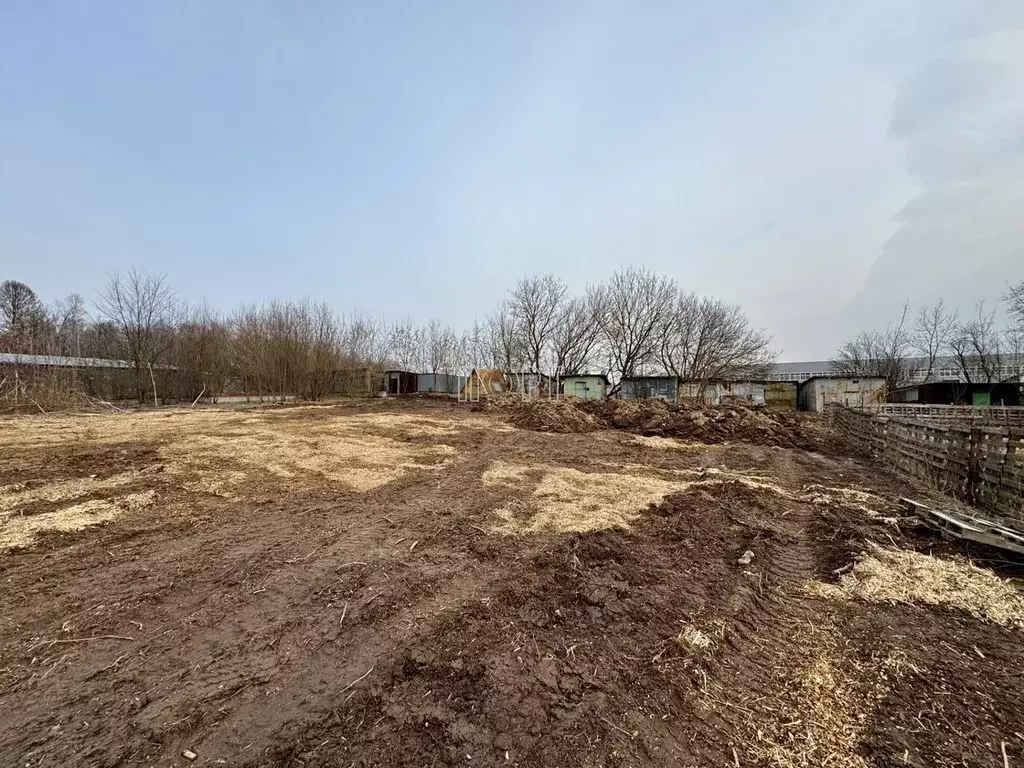 Участок в Московская область, Пушкинский городской округ, с. ... - Фото 2