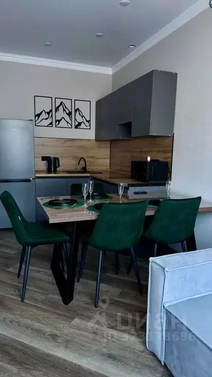 1-к кв. Карачаево-Черкесия, Теберда Карачаевский городской округ, ул. ... - Фото 2