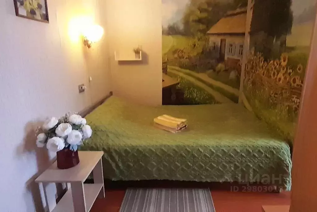 1-к кв. Новгородская область, Боровичи Гончарная ул., 36 (28.0 м) - Фото 1