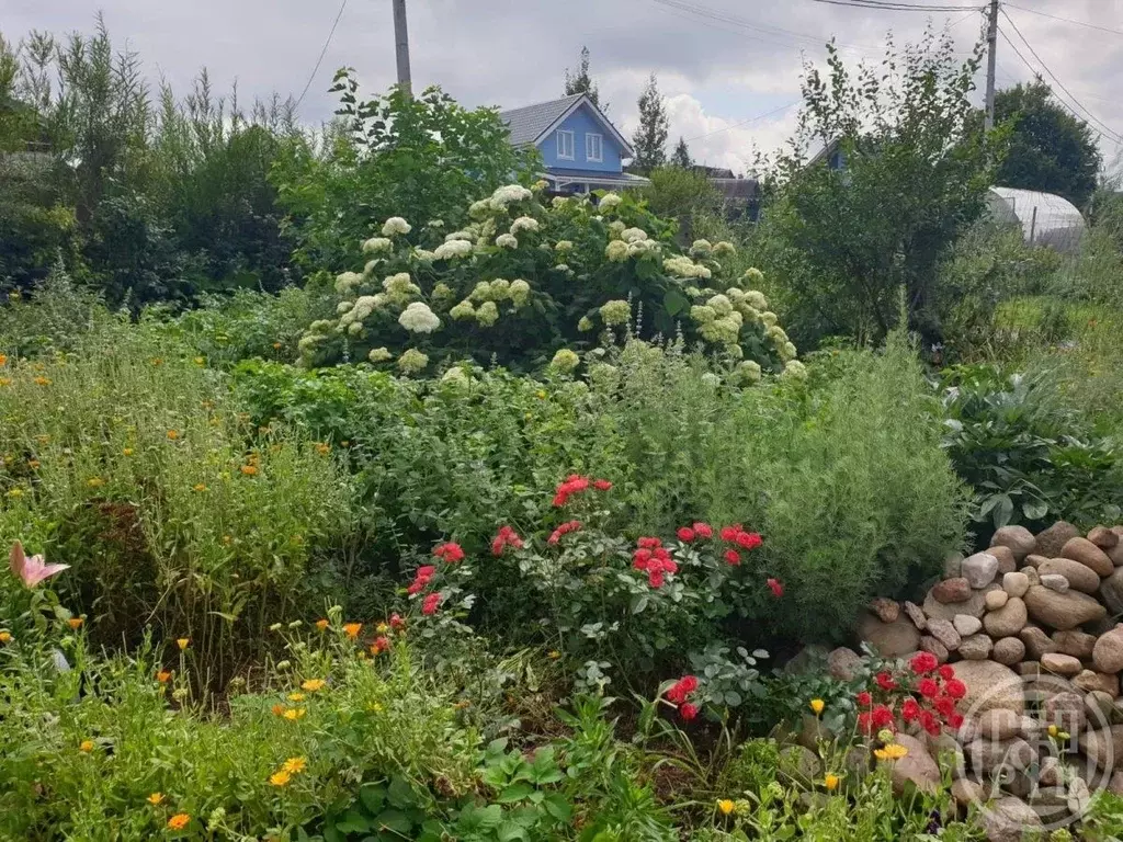 Дом в Ленинградская область, Всеволожский район, Лесколовское с/пос, ... - Фото 2