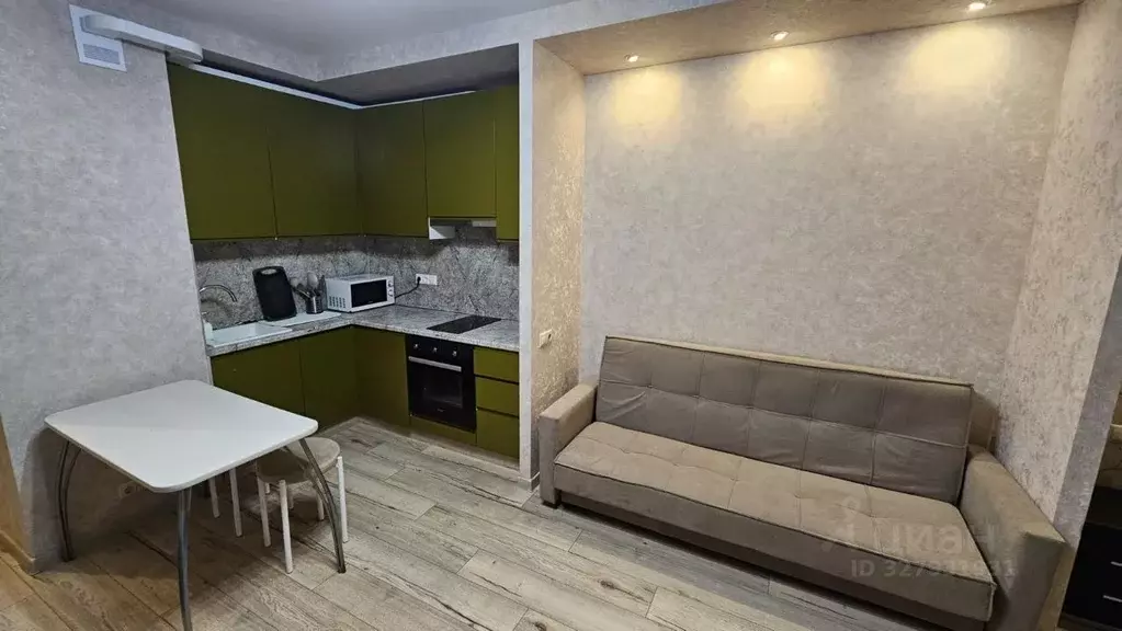 Студия Московская область, Солнечногорск городской округ, Голубое пгт ... - Фото 1