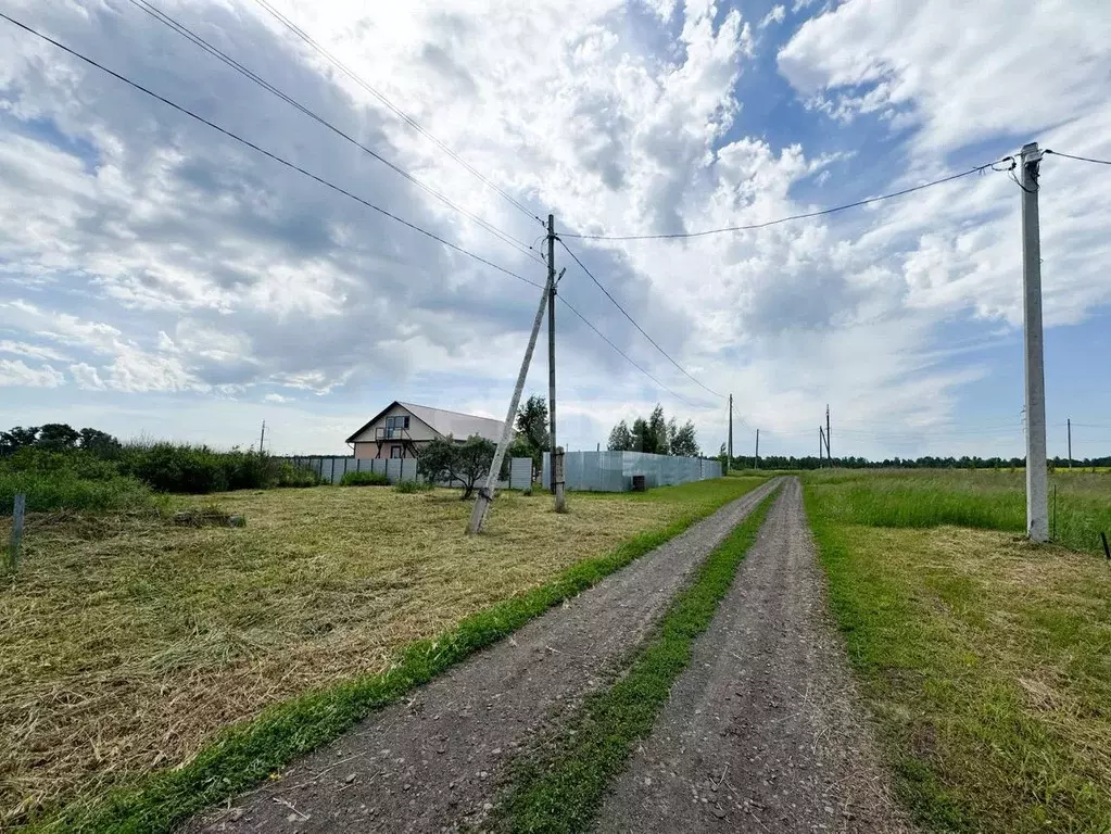 Участок в Курганская область, Кетовский муниципальный округ, с. Сычево ... - Фото 1