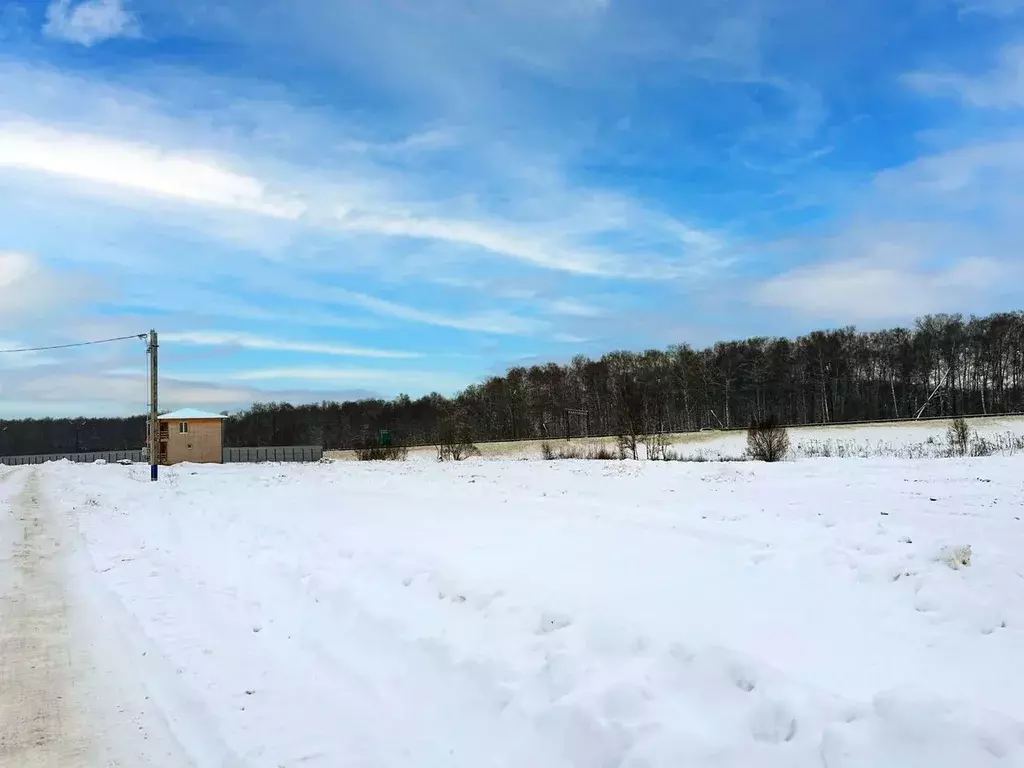 Участок в Московская область, Домодедово Кузьминское Парк кп, 547 (9.0 ... - Фото 2