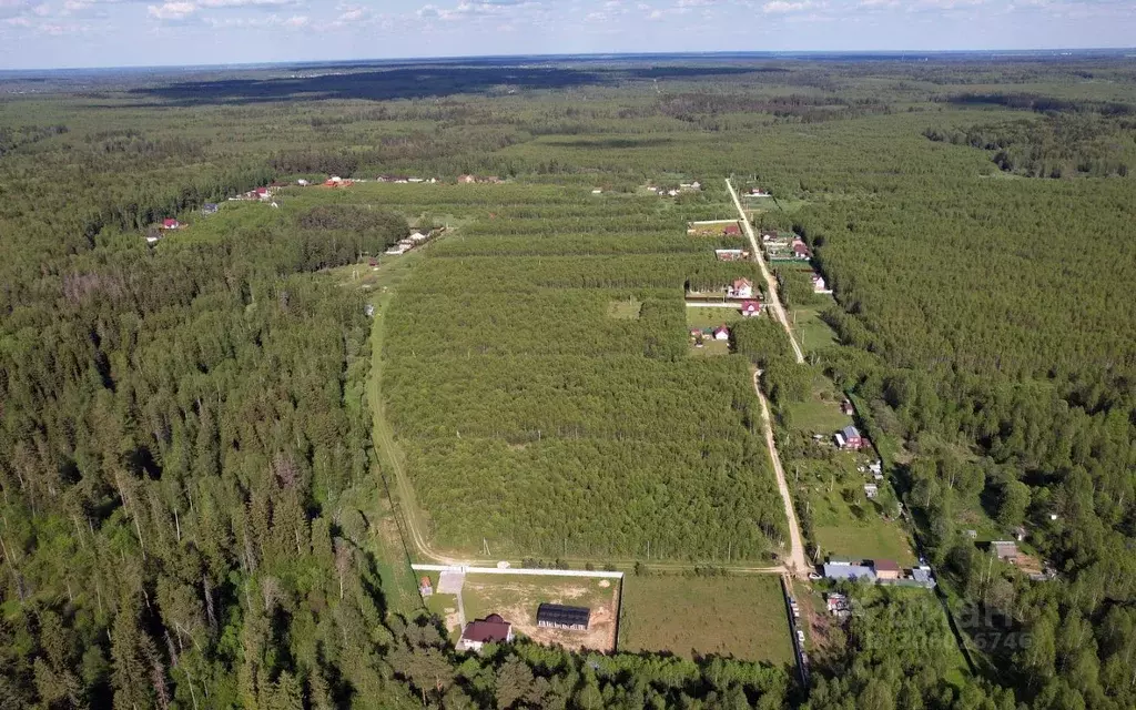 Участок в Московская область, Можайский городской округ, Лесные ... - Фото 1