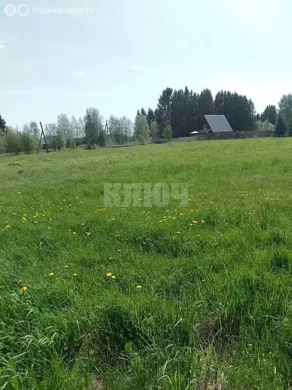 Участок в Вологодская область, Тотемский муниципальный округ, ... - Фото 2