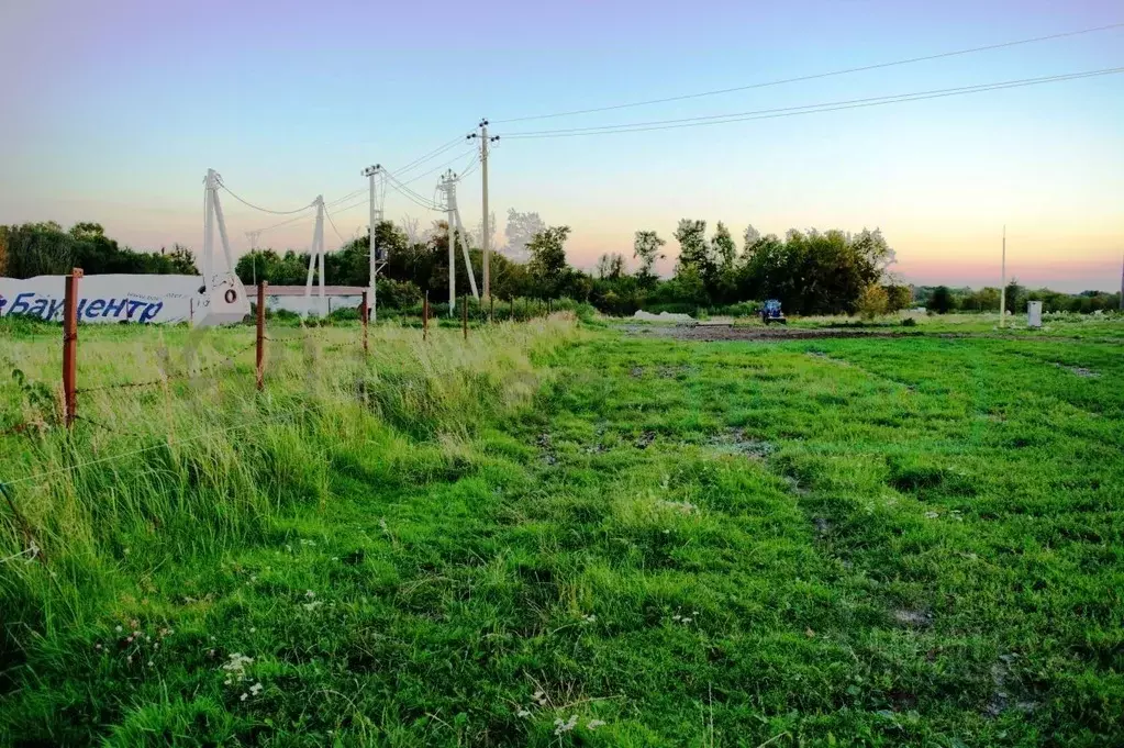Участок в Калининградская область, Багратионовский муниципальный ... - Фото 2