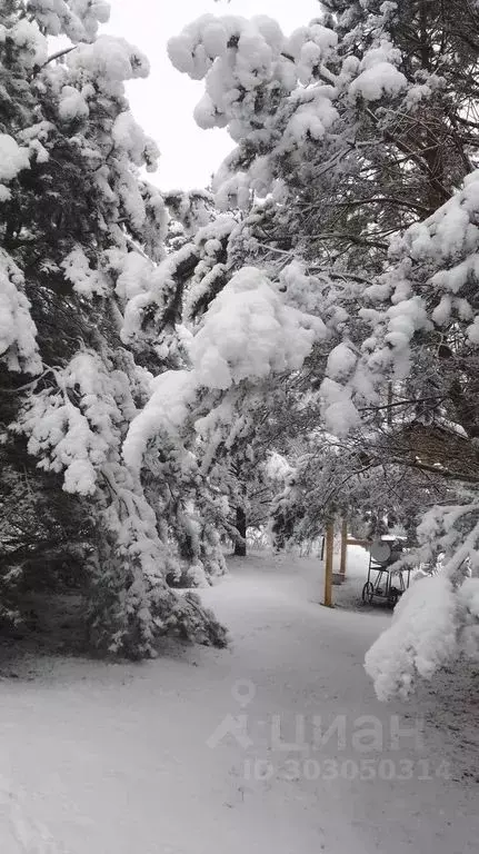 Дом в Псковская область, Печорский муниципальный округ, д. Малая ... - Фото 1
