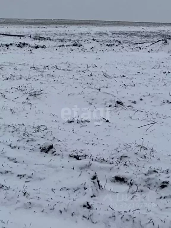 Участок в Белгородская область, Белгородский район, Головинское с/пос, ... - Фото 2