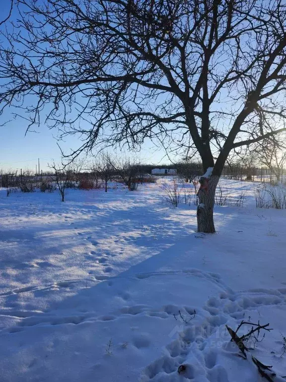 Дом в Ростовская область, Аксайский район, Мишкинская ст-ца ул. ... - Фото 2