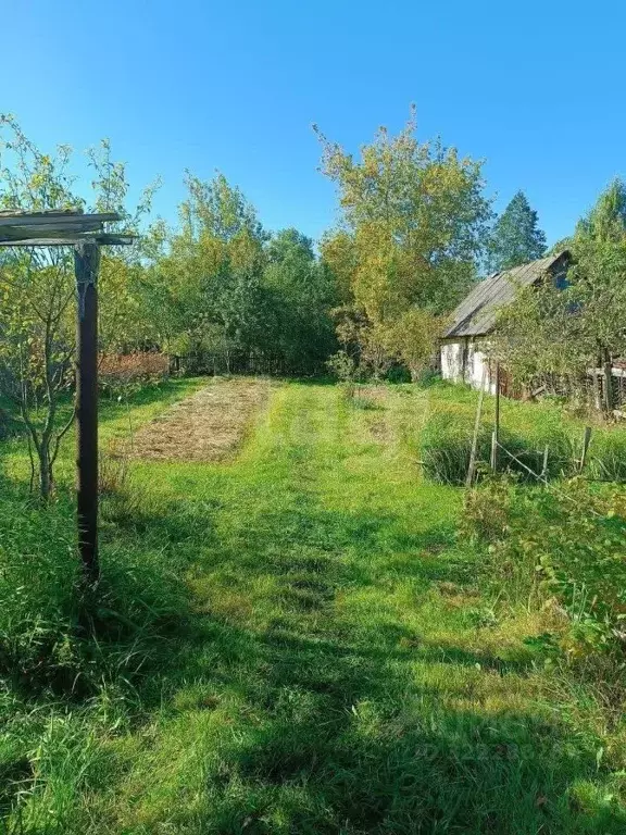 Участок в Брянская область, Сельцо пер. 1-й 60 лет Октября (3.31 сот.) - Фото 2