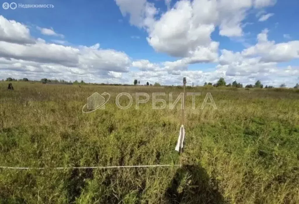 Участок в Тюмень, территория СОСН Агросад-Тюмень (6.62 м) - Фото 2