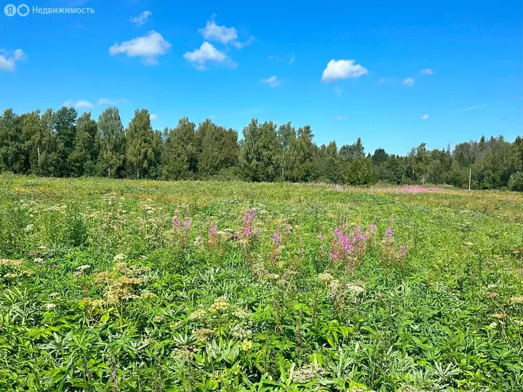 Участок в Московская область, городской округ Клин, деревня Кореньки ... - Фото 0