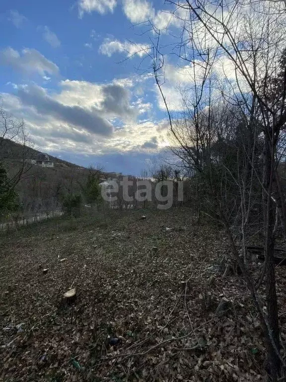 Участок в Краснодарский край, Новороссийск городской округ, с. Южная ... - Фото 1