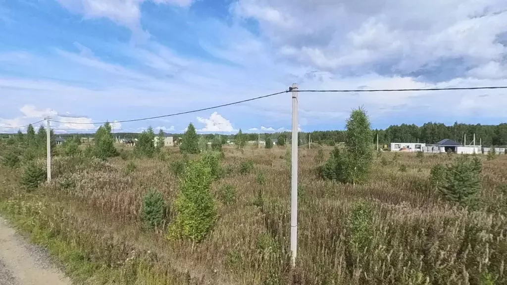 Участок в Тюменская область, Тюменский муниципальный округ, с. Кулига, ... - Фото 1