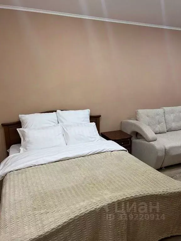 1-к кв. Амурская область, Благовещенск ул. Ленина, 213 (80.0 м) - Фото 1