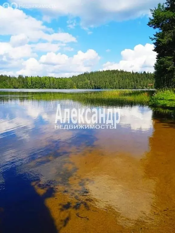 Участок в Республика Карелия, Лахденпохский муниципальный округ, ... - Фото 2