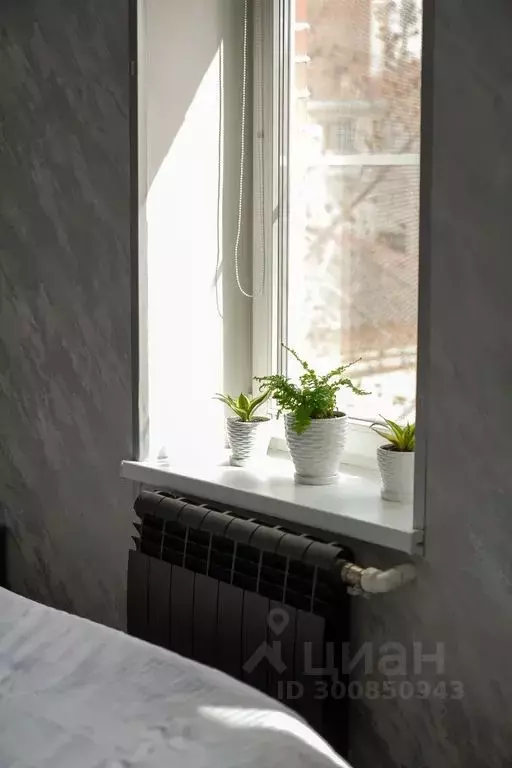 1-к кв. Нижегородская область, Нижний Новгород Большая Покровская ул., ... - Фото 2