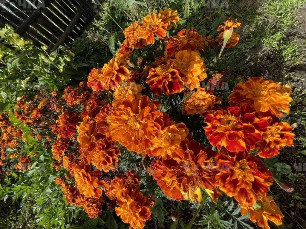 Участок в Челябинская область, Чебаркульский муниципальный округ, д. ... - Фото 2