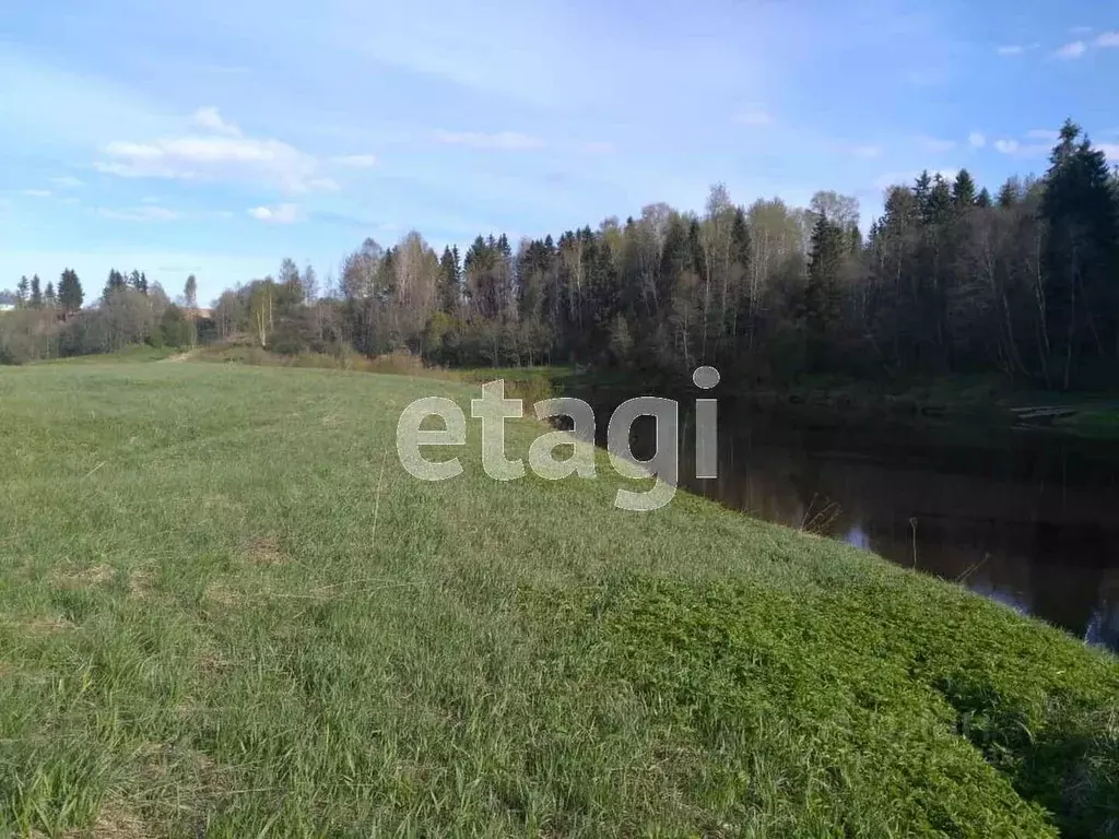 Участок в Вологодская область, д. Ильинское (Октябрьский сельсовет) ... - Фото 1