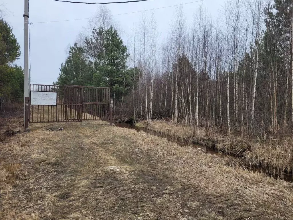 Участок в Московская область, Электрогорск Павлово-Посадский городской ... - Фото 1
