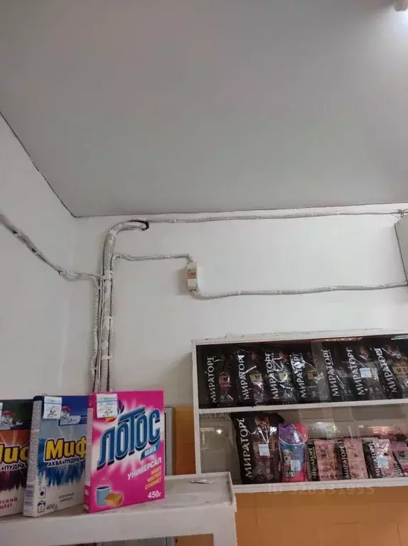 Помещение свободного назначения в Воронежская область, Борисоглебск ... - Фото 2