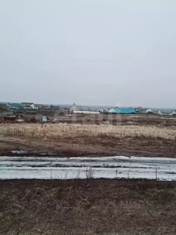 Участок в Саратовская область, Балашовский район, с. Репное ... - Фото 0