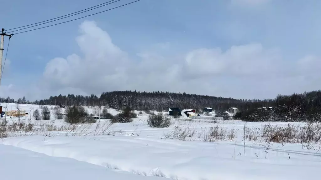 Участок в Московская область, Пушкинский городской округ, с. ... - Фото 0