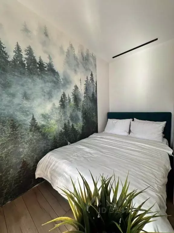 1-к кв. Санкт-Петербург наб. Реки Каменки, 19к3 (20.0 м) - Фото 1