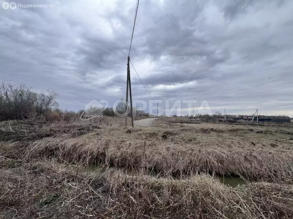 Участок в Тюмень, садовое товарищество Царево, Снежная улица (12.44 м) - Фото 1