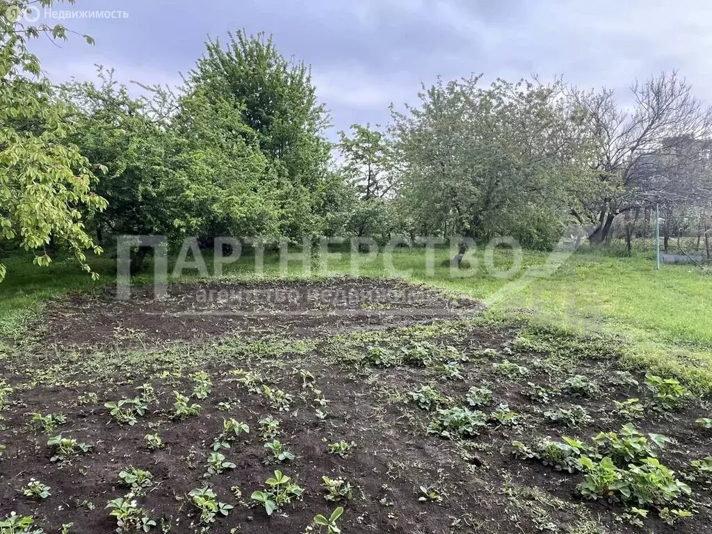 Участок в посёлок городского типа Ильский, улица Пушкина (4 м) - Фото 0