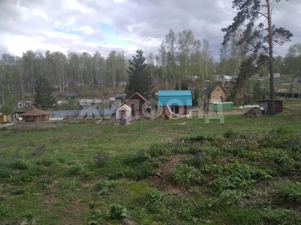 Участок в Новосибирская область, Новосибирский район, Барышевский ... - Фото 1