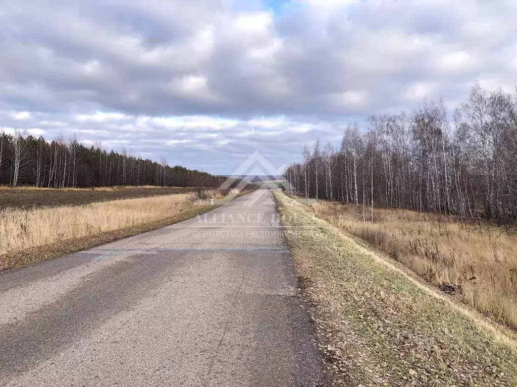 Участок в Татарстан, Лаишевский район, с. Кирби ул. Татарстан (453.0 ... - Фото 1