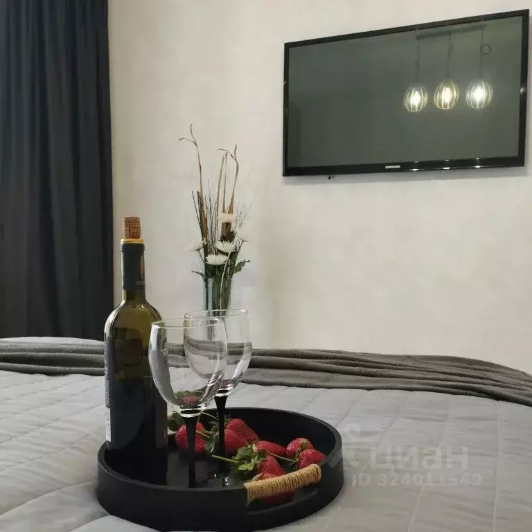 1-к кв. Калининградская область, Зеленоградск ул. Лермонтова, 4А (32.0 ... - Фото 2