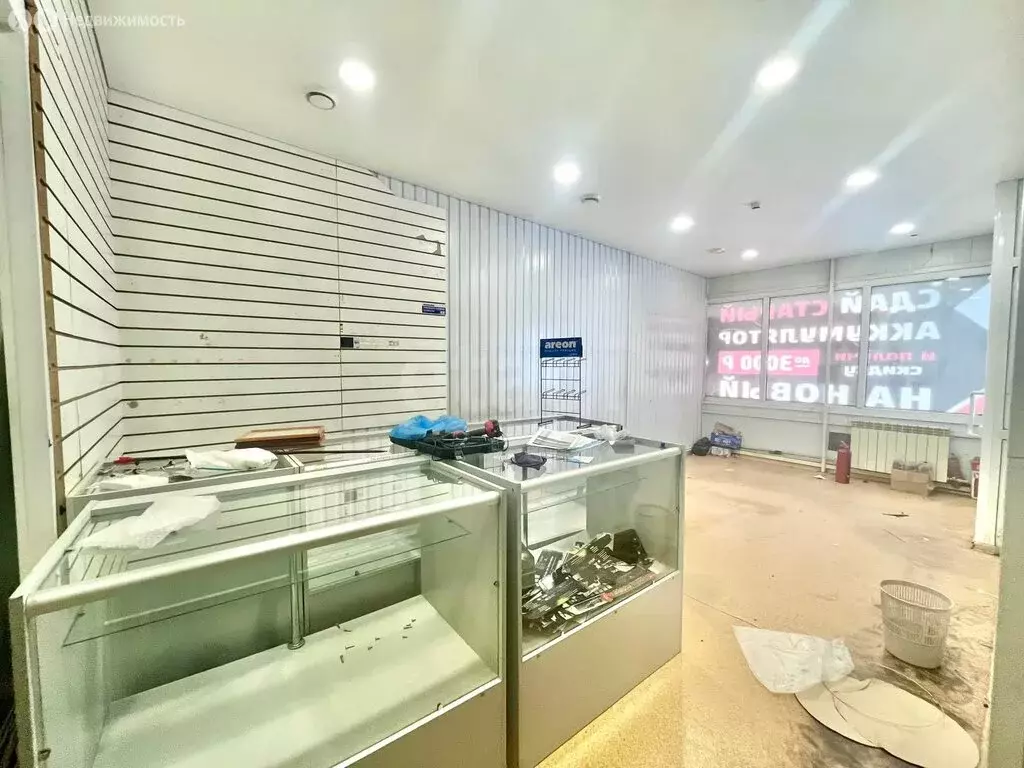 Помещение свободного назначения (250 м) - Фото 2