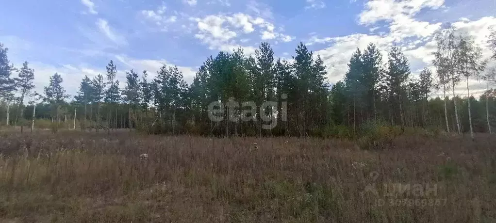 Участок в Ульяновская область, Старомайнский район, Краснореченское ... - Фото 1