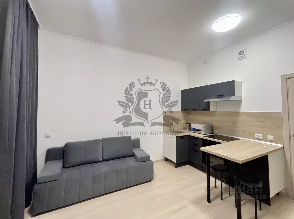 Студия Ленинградская область, Мурино Всеволожский район, просп. ... - Фото 1