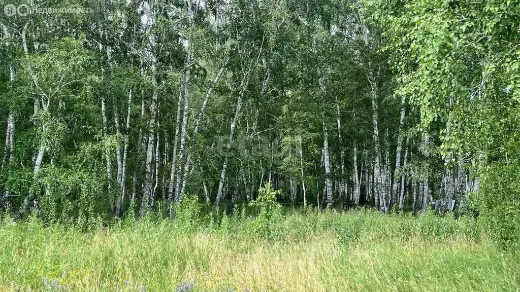 Участок в Курганская область, Кетовский муниципальный округ, деревня ... - Фото 1