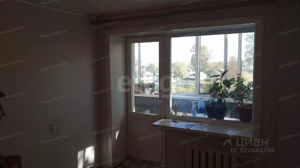 1-к кв. Амурская область, Ивановский муниципальный округ, с. ... - Фото 2