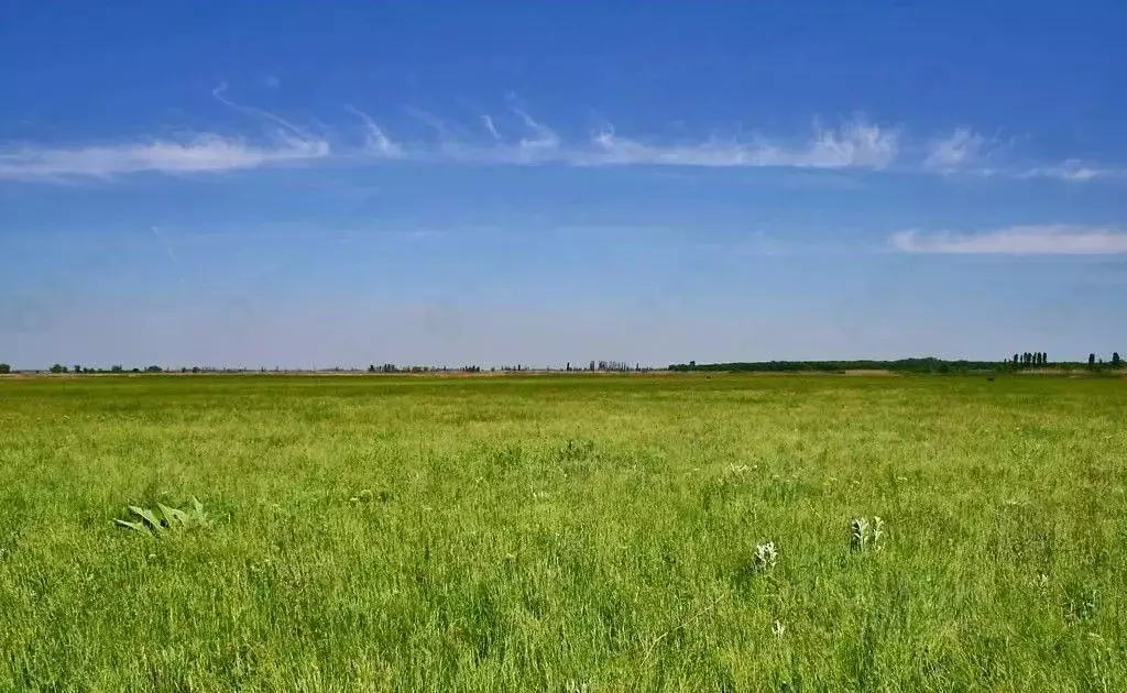Участок в Адыгея, Тахтамукайский район, Энем пгт  (7.7 сот.) - Фото 2