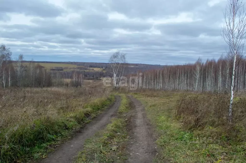 Участок в Кемеровская область, Прокопьевский район, с. Верх-Егос  ... - Фото 1