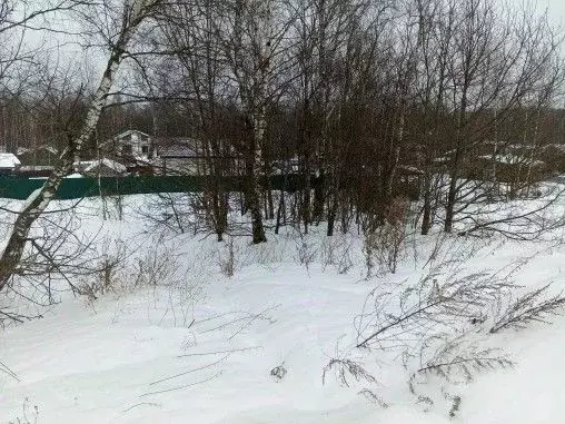 Участок в Московская область, Чехов  (10.74 сот.) - Фото 2