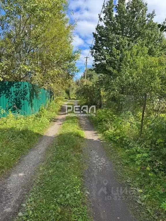 Участок в Ленинградская область, Всеволожский район, Морозовское ... - Фото 2