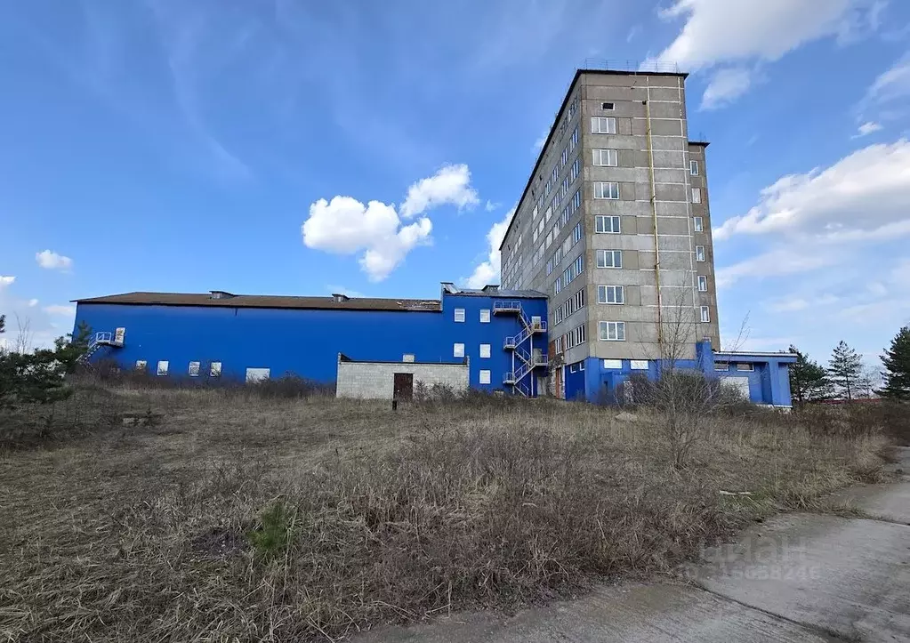 Помещение свободного назначения в Московская область, Воскресенск ул. ... - Фото 0