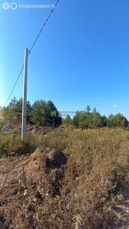 Участок в Завьяловский район, деревня Старый Чультем, Виноградная ... - Фото 1