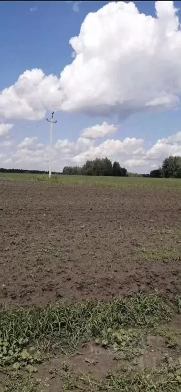 Участок в Курганская область, Кетовский муниципальный округ, с. ... - Фото 2