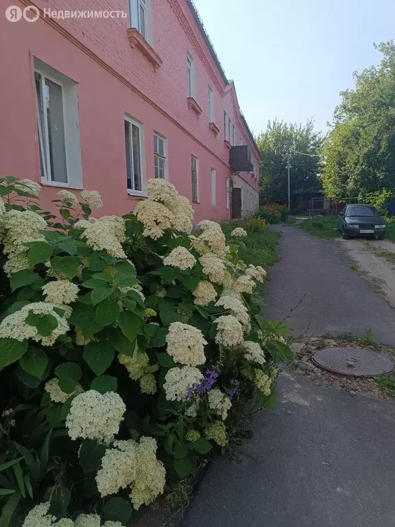 1к в -комнатной квартире (23.2 м) - Фото 0
