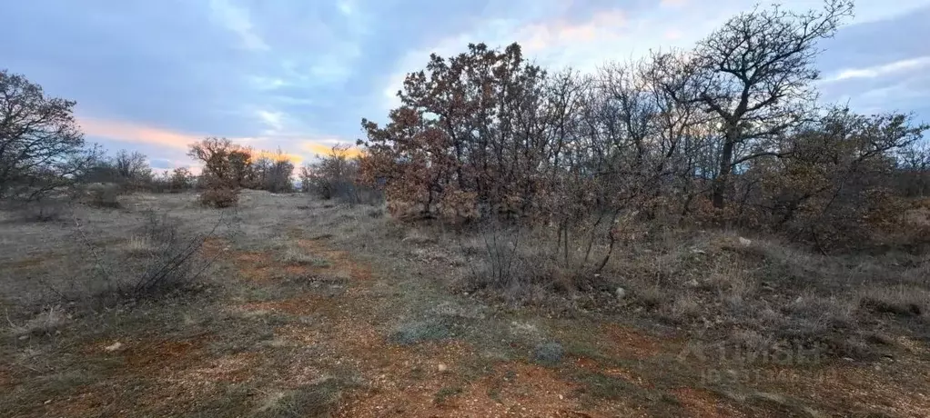 Участок в Севастополь Вилларис дель Мар кп,  (10.0 сот.) - Фото 1