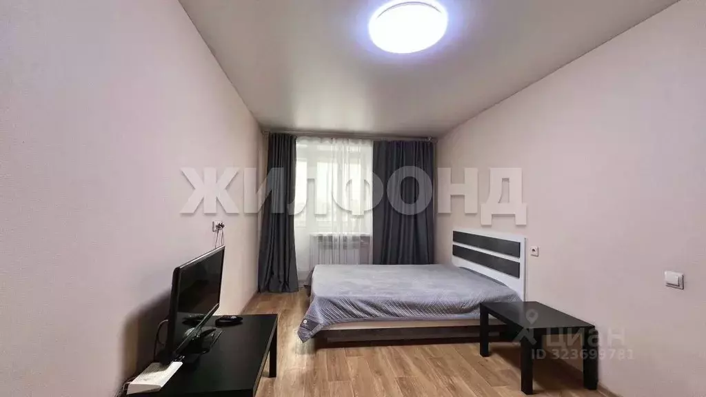 1-к кв. Новосибирская область, Новосибирск ул. Вокзальная магистраль, ... - Фото 2