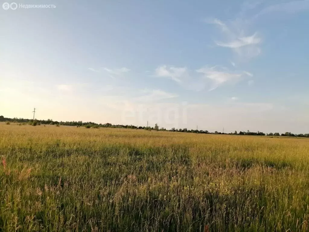 Участок в Калининградская область, Черняховский муниципальный округ, ... - Фото 1